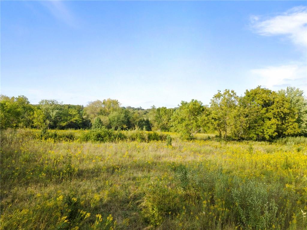 Listing Photo MLS #HMS2575273