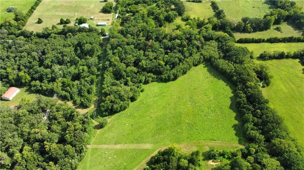 Listing Photo MLS #HMS2575685