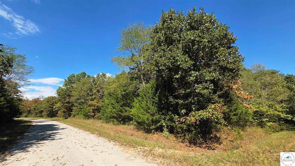 Listing Photo MLS #HMS2576723