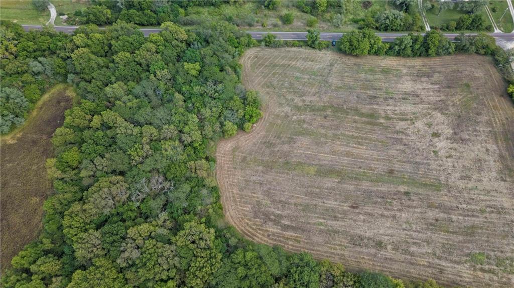 Listing Photo MLS #HMS2576724