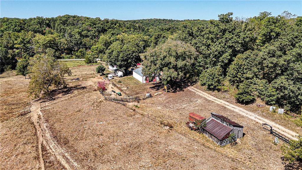 Listing Photo MLS #HMS2576750