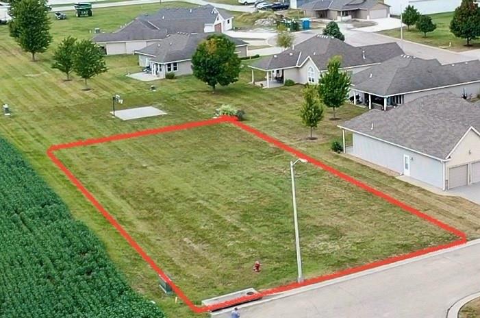 Listing Photo MLS #HMS2576874