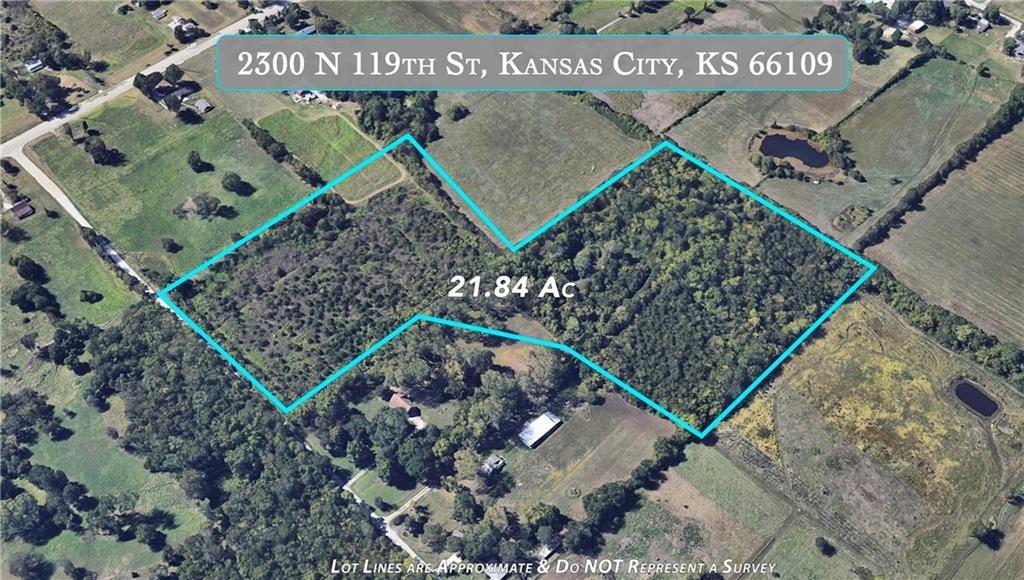 Listing Photo MLS #HMS2576962