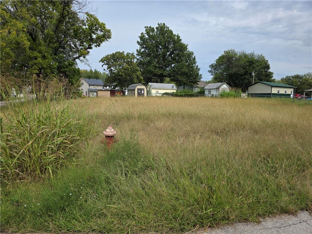 Listing Photo MLS #HMS2576975
