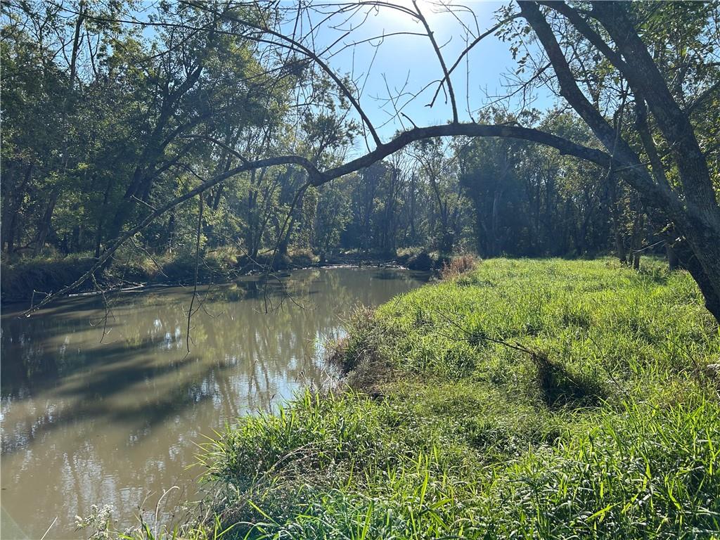 Listing Photo MLS #HMS2577019