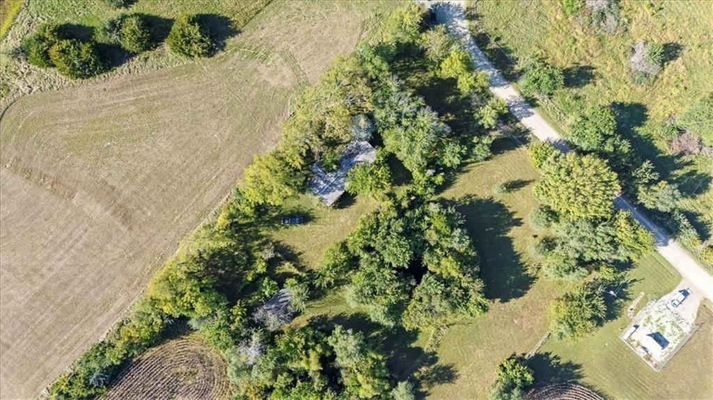 Listing Photo MLS #HMS2577063