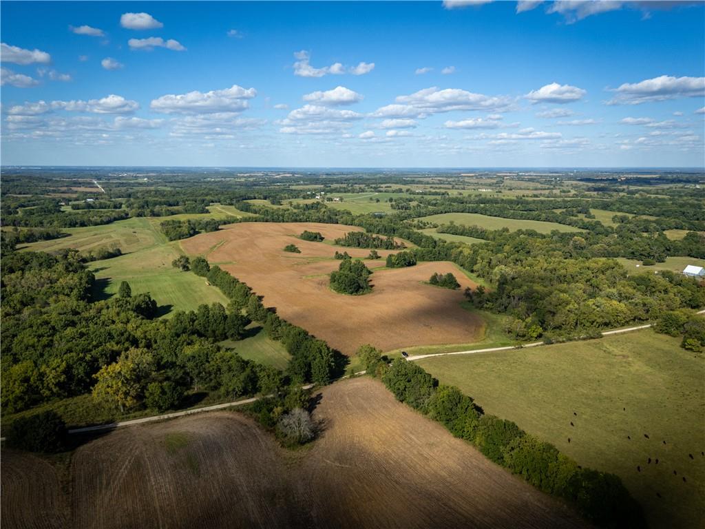 Listing Photo MLS #HMS2577177