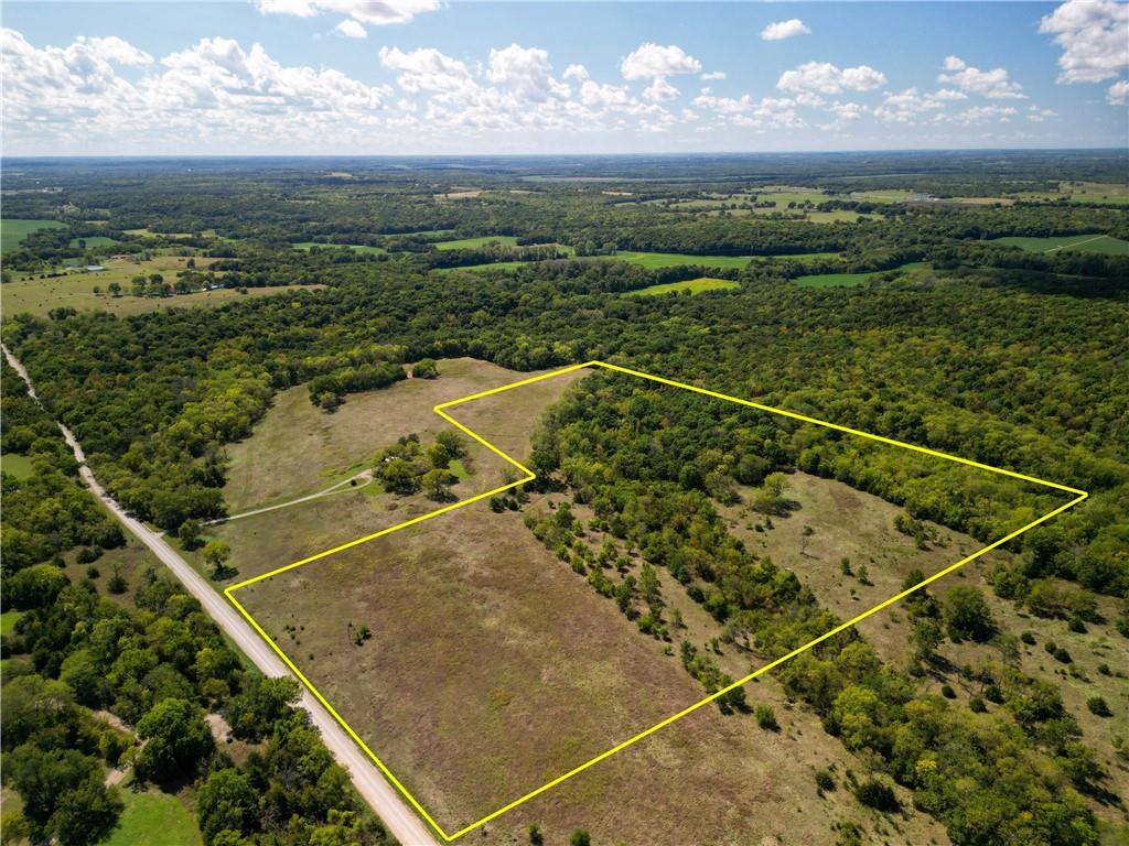 Listing Photo MLS #HMS2577182