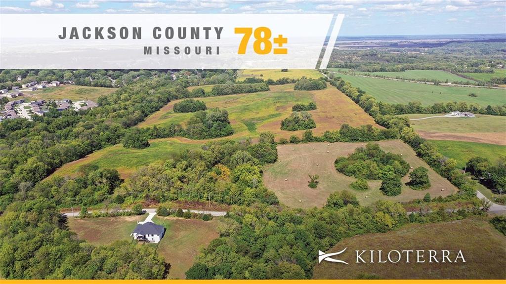 Listing Photo MLS #HMS2577360