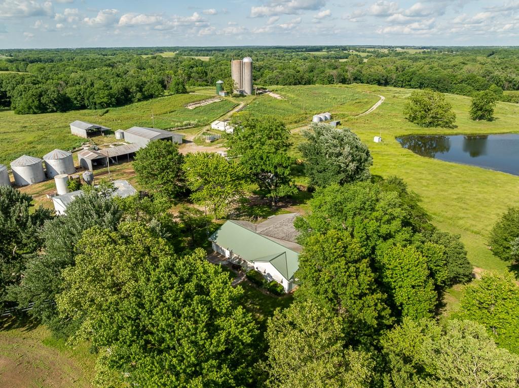Listing Photo MLS #HMS2577490