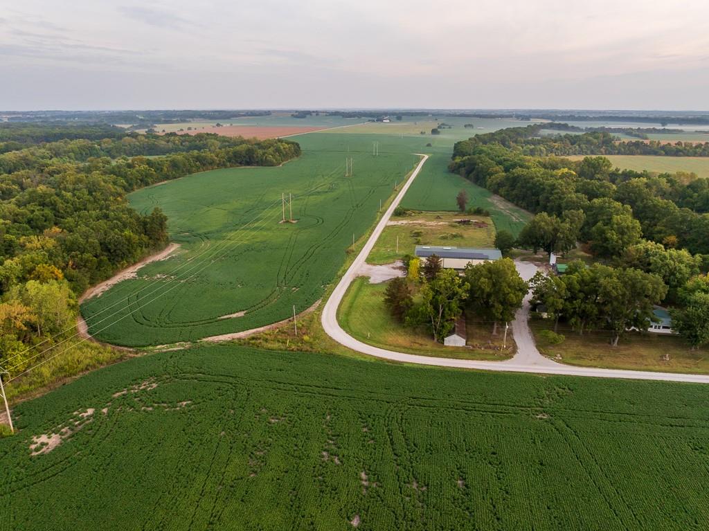 Listing Photo MLS #HMS2577498