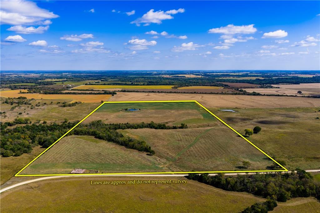 Listing Photo MLS #HMS2577563