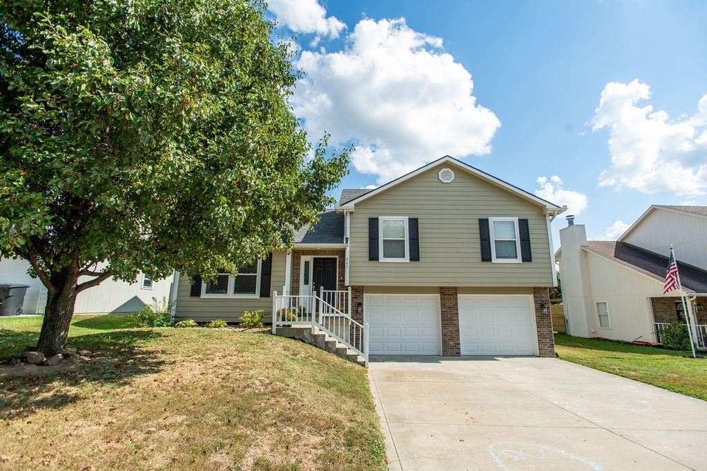 Listing Photo MLS #HMS2577758