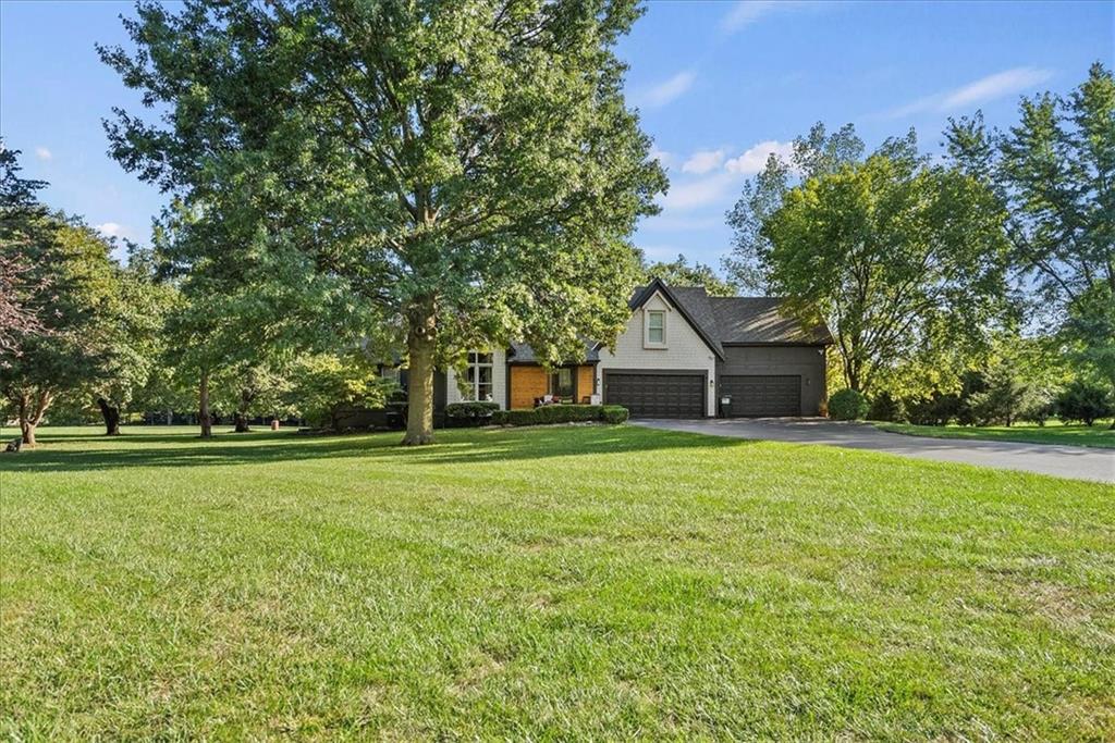 Listing Photo MLS #HMS2577925