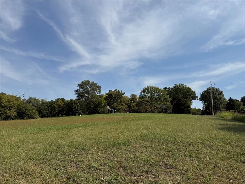 Listing Photo MLS #HMS2578395