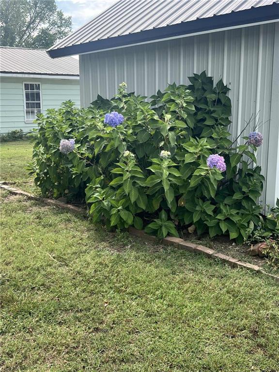 Listing Photo MLS #HMS2578528