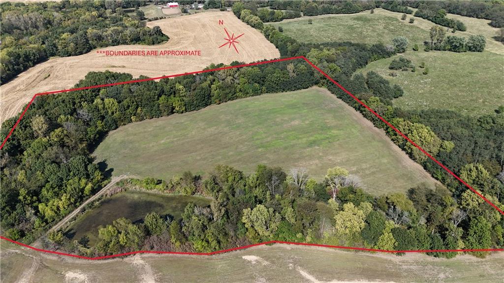 Listing Photo MLS #HMS2578740