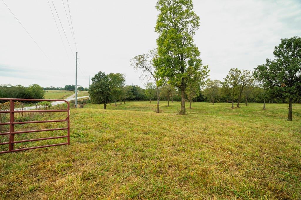 Listing Photo MLS #HMS2578761