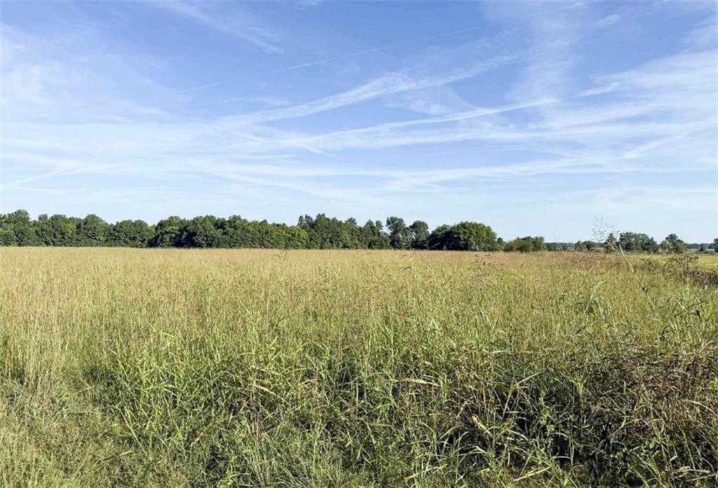 Listing Photo MLS #HMS2578942