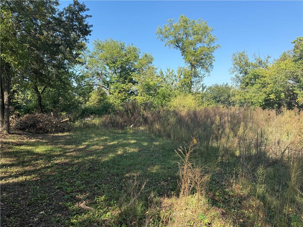 Listing Photo MLS #HMS2579074