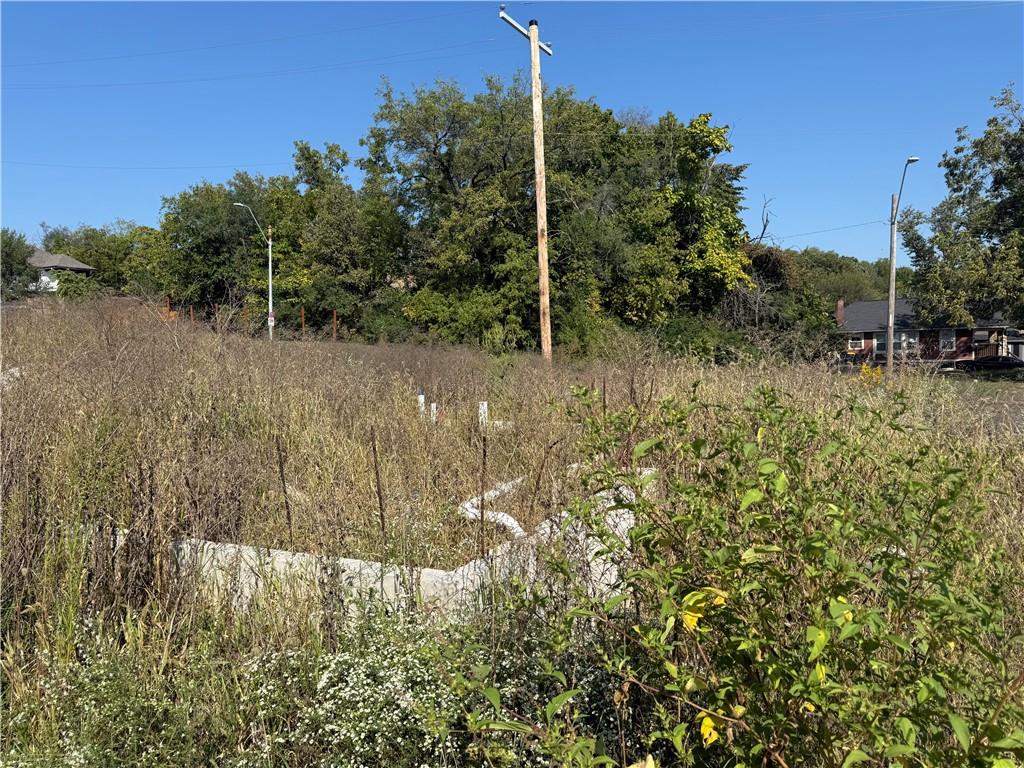 Listing Photo MLS #HMS2579076