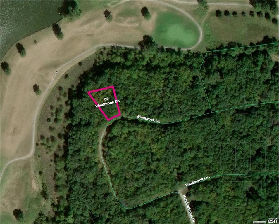 Listing Photo MLS #HMS2579123