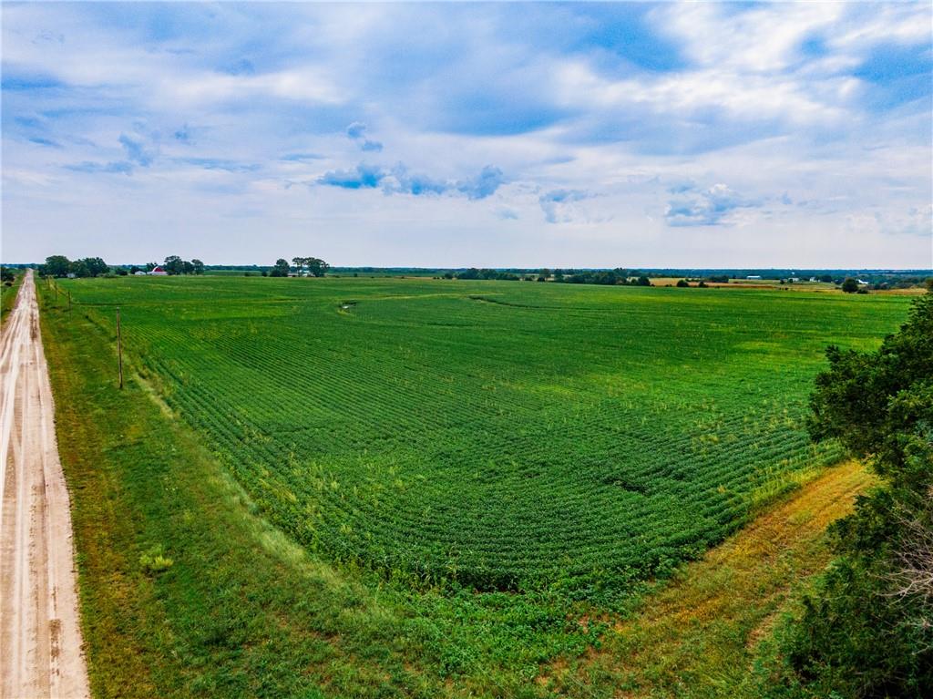 Listing Photo MLS #HMS2579139