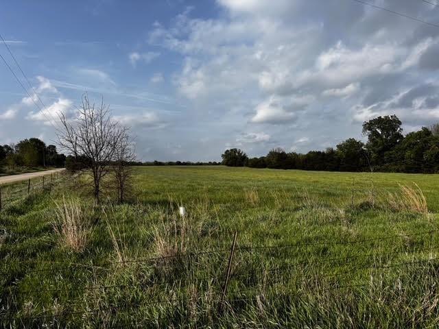 Listing Photo MLS #HMS2579300