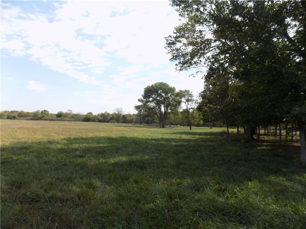 Listing Photo MLS #HMS2579403