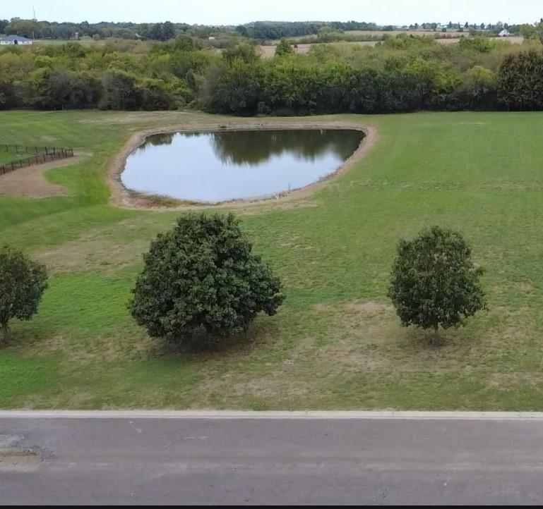 Listing Photo MLS #HMS2579716