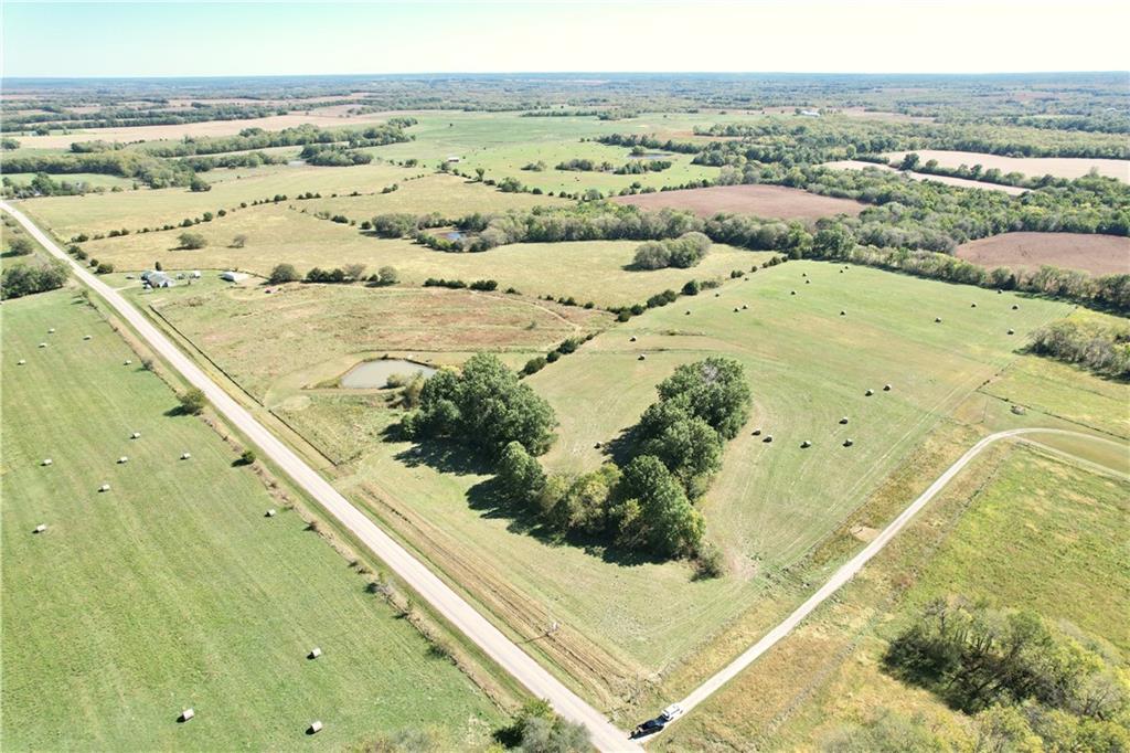 Listing Photo MLS #HMS2579809