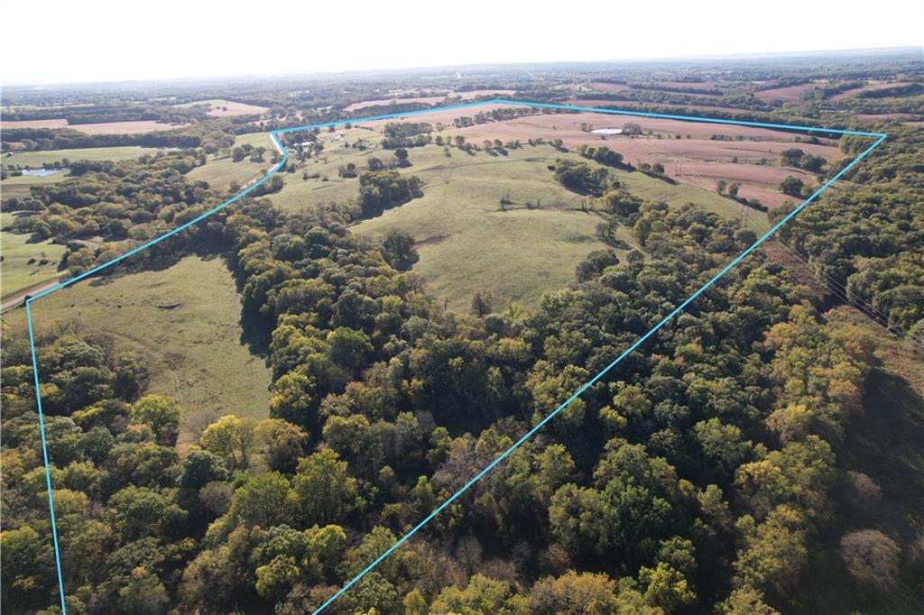 Listing Photo MLS #HMS2579893