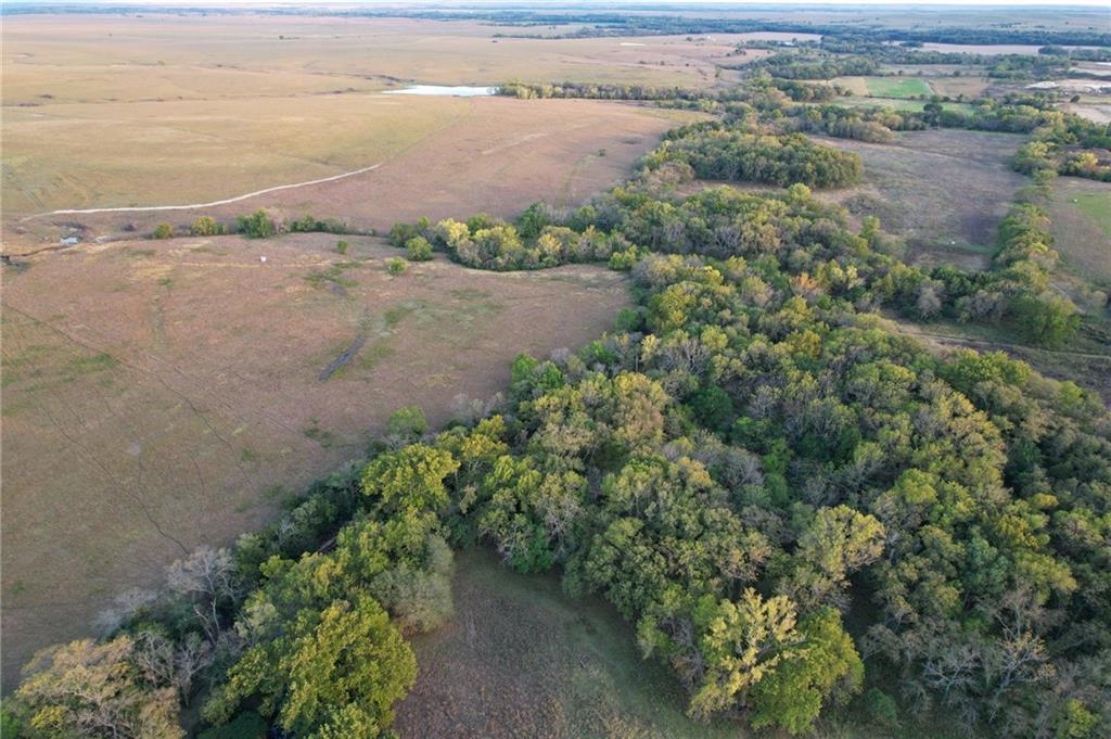Listing Photo MLS #HMS2580008