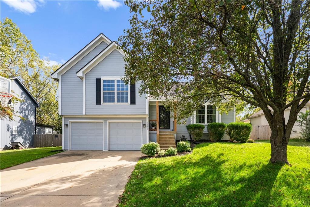 Listing Photo MLS #HMS2581207