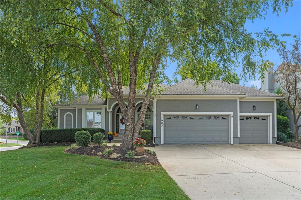 Listing Photo MLS #HMS2581434