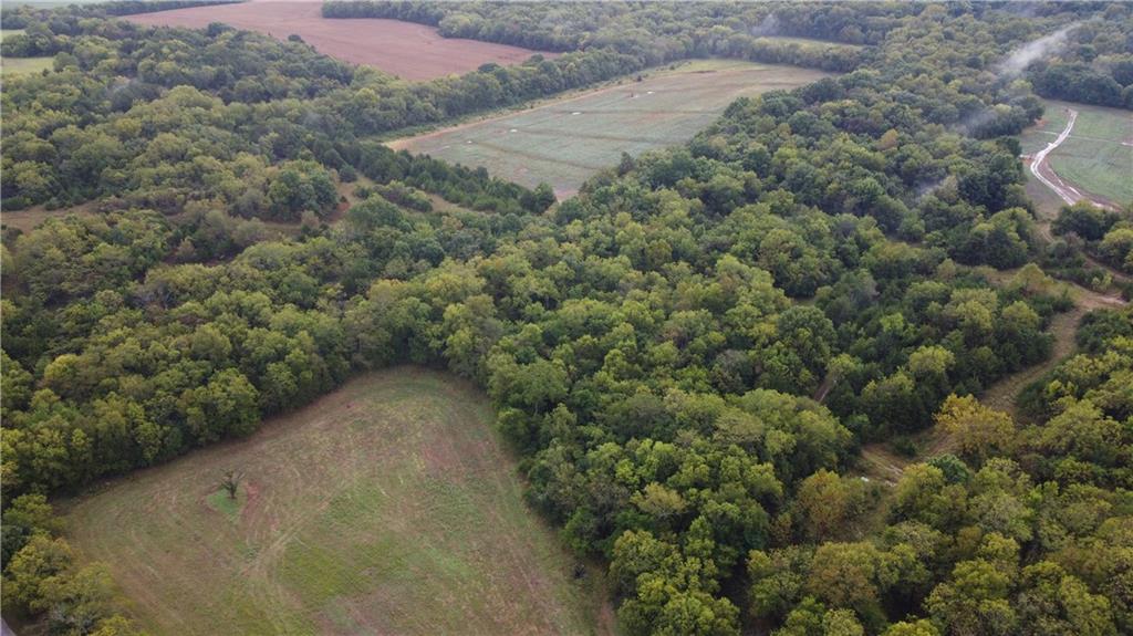 Listing Photo MLS #HMS2581637