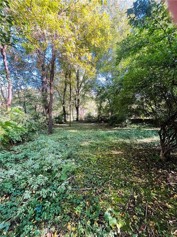 Listing Photo MLS #HMS2583191