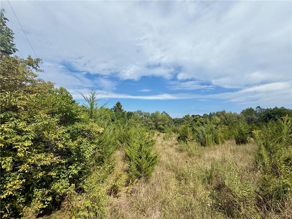 Listing Photo MLS #HMS2583736