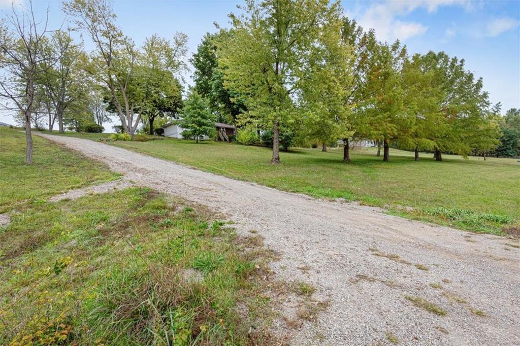 Listing Photo MLS #HMS2583795