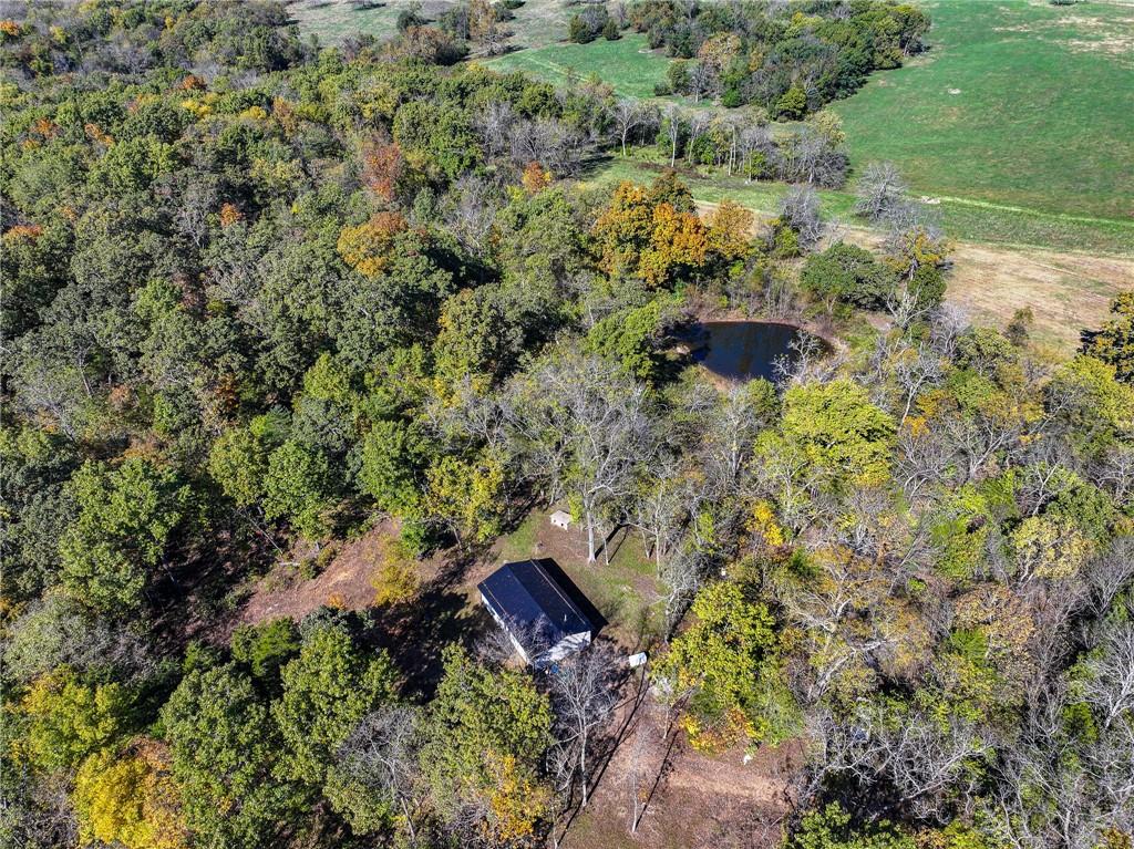 Listing Photo MLS #HMS2584595