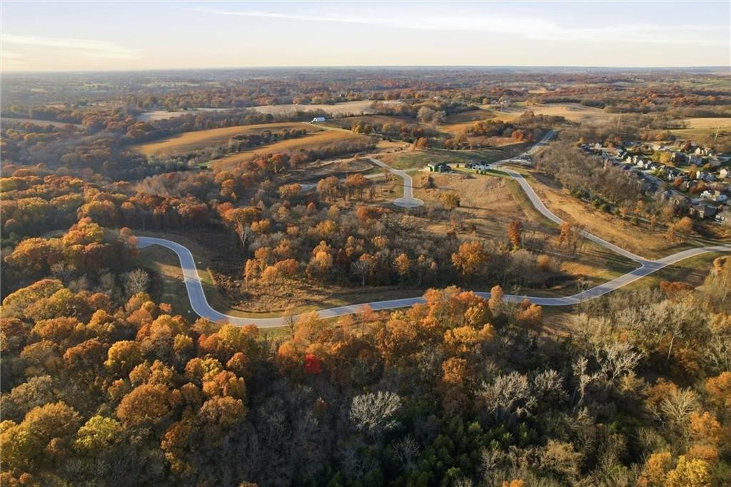 Listing Photo MLS #HMS2587798