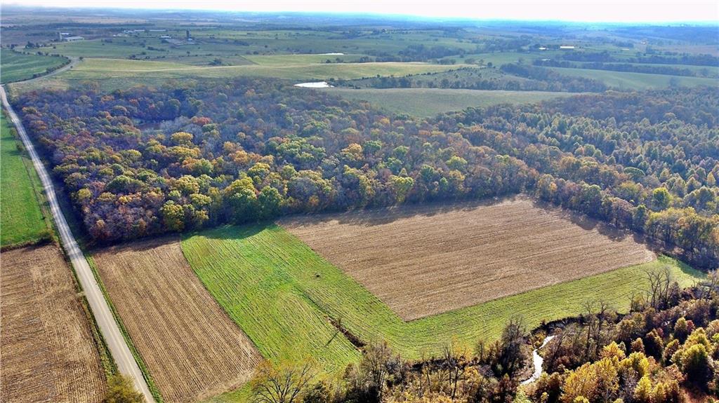 Listing Photo MLS #HMS2588630