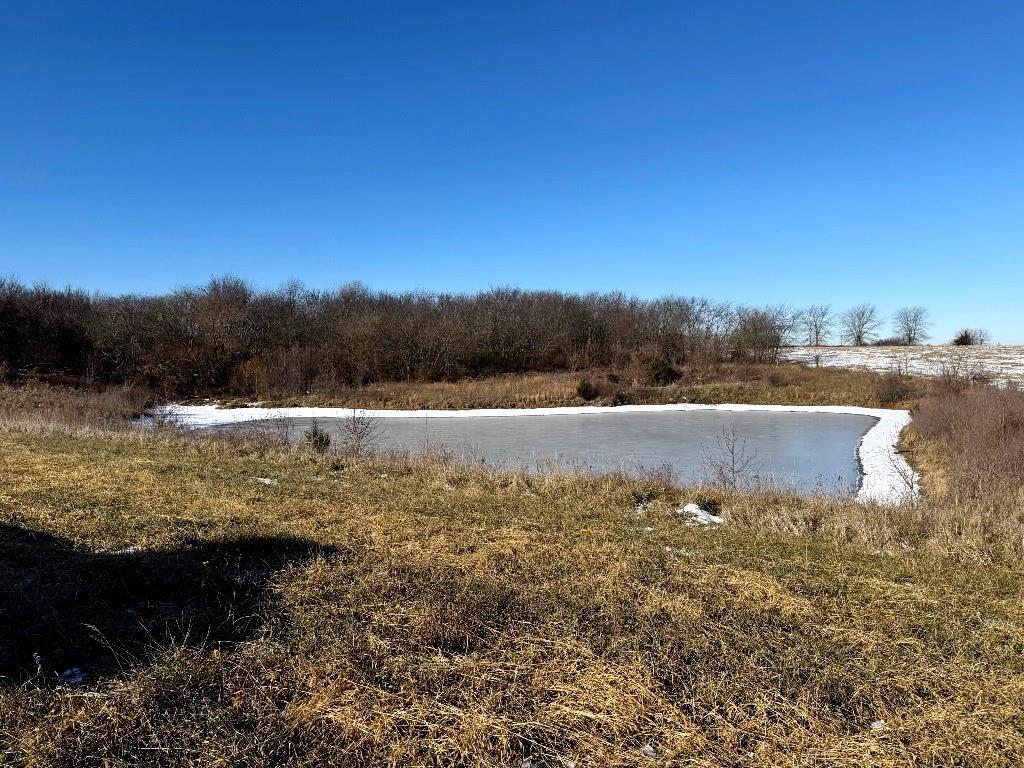 Listing Photo MLS #HMS2589238