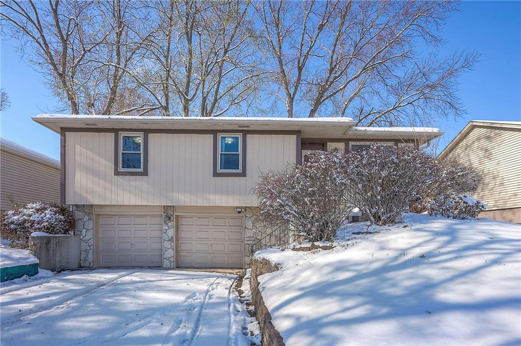 Listing Photo MLS #HMS2589895