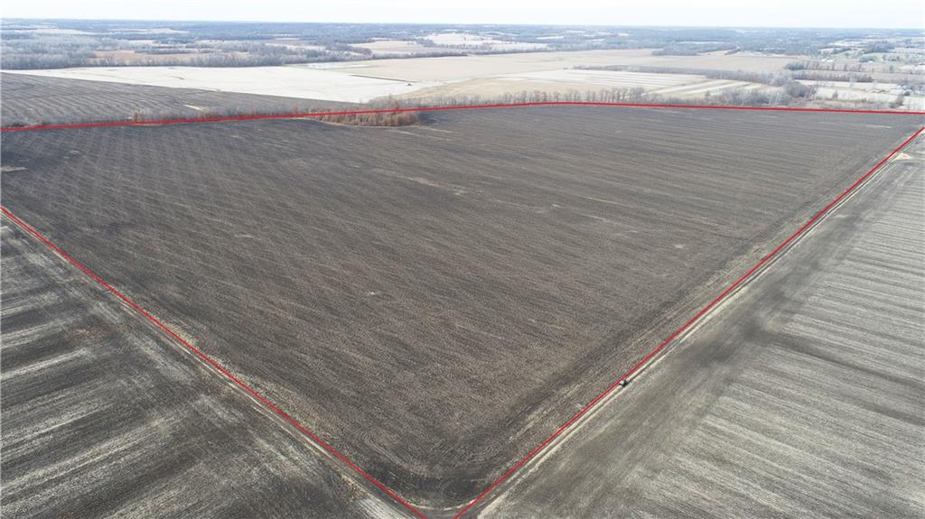 Listing Photo MLS #HMS2591989