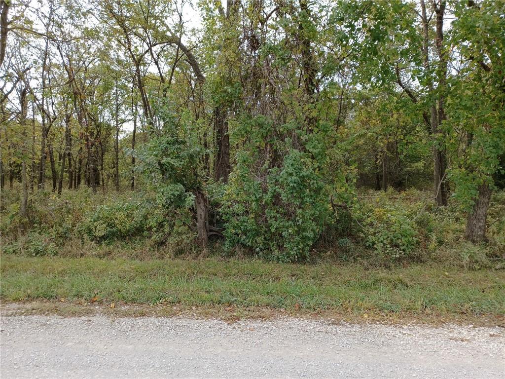 Listing Photo MLS #HMS2595175
