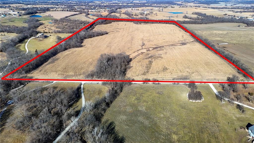 Listing Photo MLS #HMS2595359