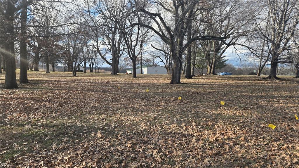 Listing Photo MLS #HMS2595554