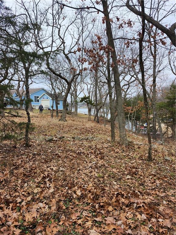 Listing Photo MLS #HMS2595555