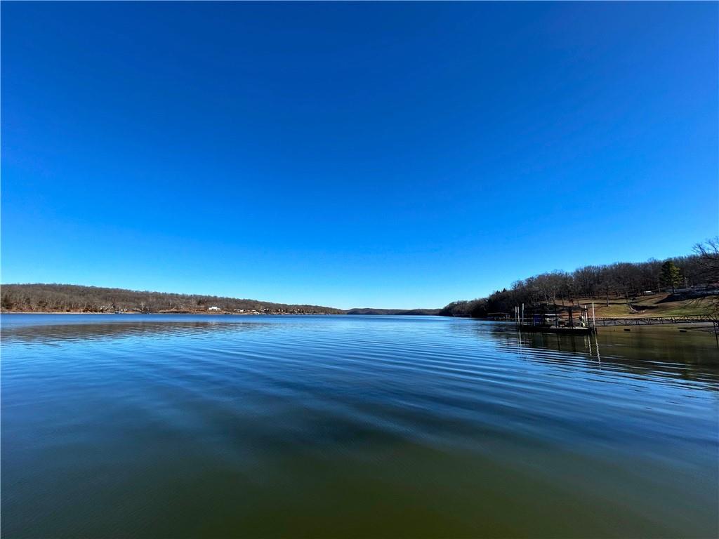 Listing Photo MLS #HMS2595683